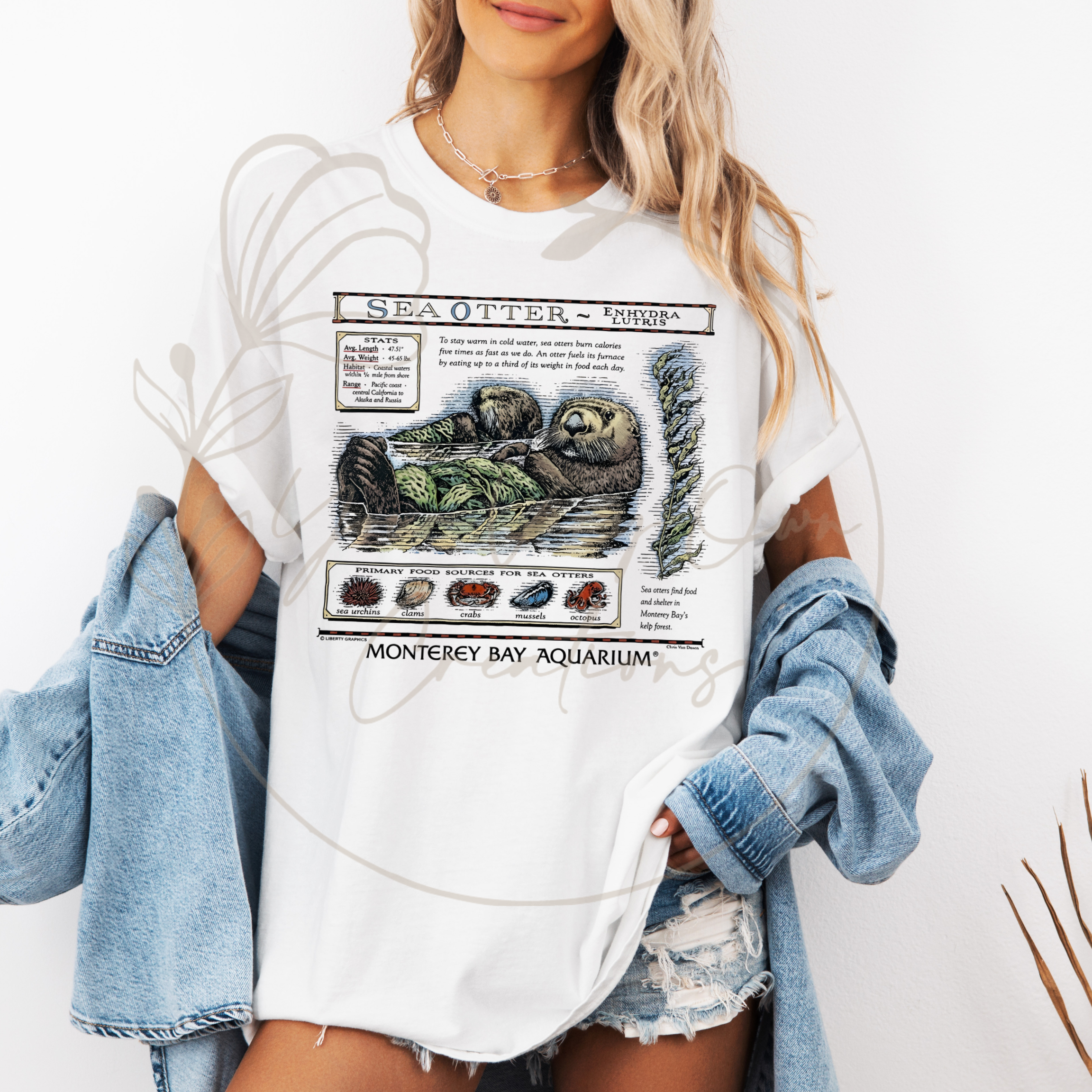 MONTEREY BAY OTTER - PROFITS ARE DONATED